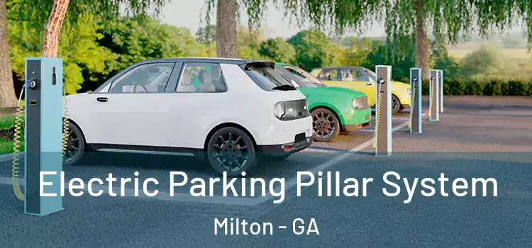 Electric Parking Pillar System Milton - GA