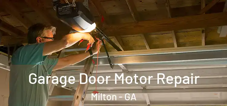  Garage Door Motor Repair Milton - GA