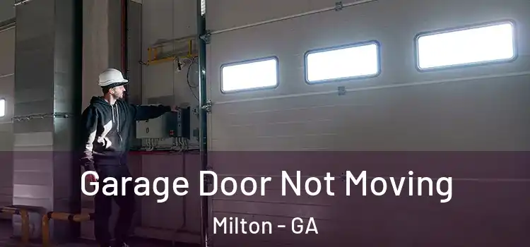  Garage Door Not Moving Milton - GA