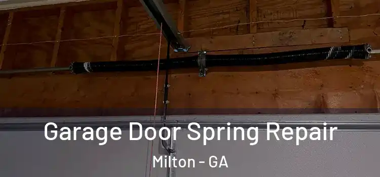  Garage Door Spring Repair Milton - GA